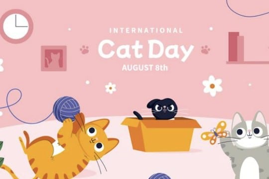 selamat hari kucing sedunia