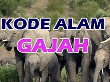 kode alam gajah
