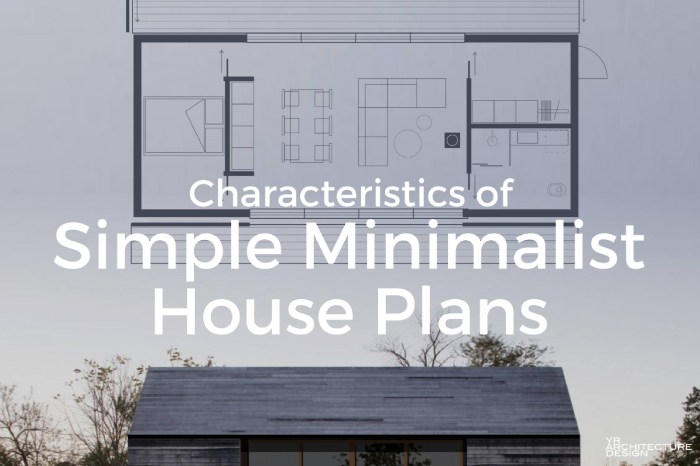 Rumah minimalis dengan desain open plan