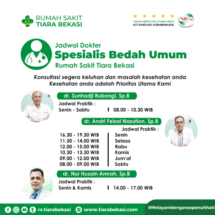 Dokter jadwal spesialis internist cibubur depok pilih papan